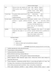 Maistinių bulvių technologijos 19 puslapis