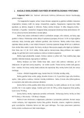 Maistinių bulvių technologijos 4 puslapis