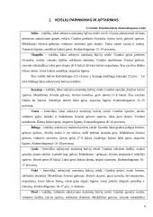 Maistinių bulvių technologijos 6 puslapis