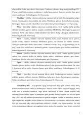 Maistinių bulvių technologijos 7 puslapis