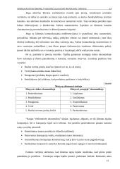 Mobiliojo ryšio įmonių vykdomų lojalumo programų tyrimas 12 puslapis
