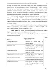 Mobiliojo ryšio įmonių vykdomų lojalumo programų tyrimas 13 puslapis