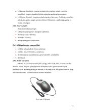Moderniųjų kompiuterių USB analizė 11 puslapis