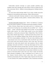 Neringos miesto kraštovaizdžio vertinimas 11 puslapis