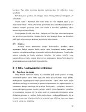 Neringos miesto kraštovaizdžio vertinimas 20 puslapis