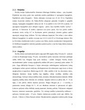 Neringos miesto kraštovaizdžio vertinimas 5 puslapis