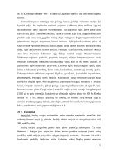 Neringos miesto kraštovaizdžio vertinimas 6 puslapis