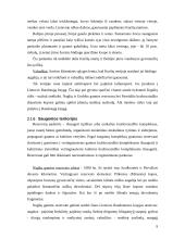 Neringos miesto kraštovaizdžio vertinimas 9 puslapis