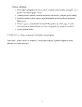 Pasakos pateikimo galimybės grupės veikloje 5 puslapis