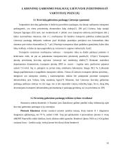 Paslaugų verslo organizavimo teoriniai ir metodiniai aspektai 16 puslapis