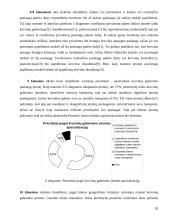 Paslaugų verslo organizavimo teoriniai ir metodiniai aspektai 20 puslapis