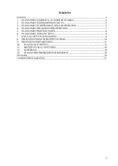 Planavimo procesas ir jo etapai 2 puslapis