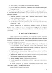 Planavimo procesas ir jo etapai 11 puslapis