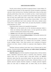 Planavimo procesas ir jo etapai 13 puslapis