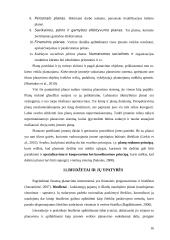 Planavimo procesas ir jo etapai 16 puslapis