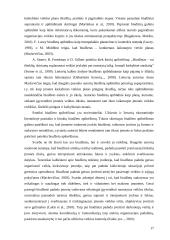 Planavimo procesas ir jo etapai 17 puslapis