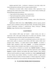 Planavimo procesas ir jo etapai 18 puslapis