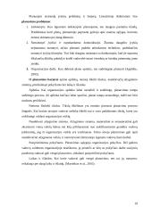 Planavimo procesas ir jo etapai 19 puslapis