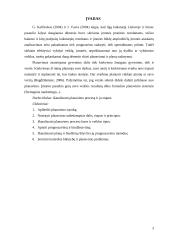 Planavimo procesas ir jo etapai 3 puslapis
