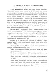 Planavimo procesas ir jo etapai 4 puslapis