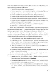 Planavimo procesas ir jo etapai 6 puslapis