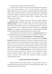 Planavimo procesas ir jo etapai 9 puslapis