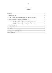 Pragmatikas Frederickas Winslow Tayloras 2 puslapis