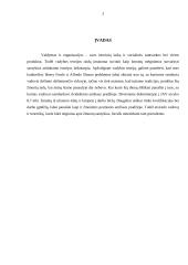 Pragmatikas Frederickas Winslow Tayloras 3 puslapis