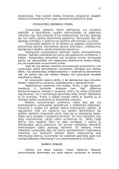 Rinka ir visuminė paklausa 11 puslapis