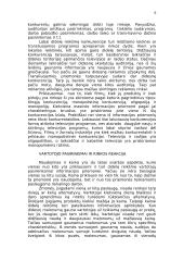 Rinka ir visuminė paklausa 6 puslapis
