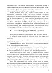 Standartinis prekybos modelis 13 puslapis