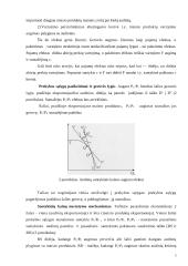 Standartinis prekybos modelis 5 puslapis