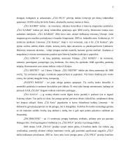 Statistinių duomenų apie įmonę rinkimas, sisteminimas ir analizė: UAB "Čilija" 2 puslapis
