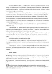 Strateginis valdymas: medienos didmeninė prekyba UAB "Liforė" 11 puslapis