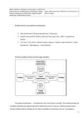 Strateginis valdymas: medienos didmeninė prekyba UAB "Liforė" 13 puslapis