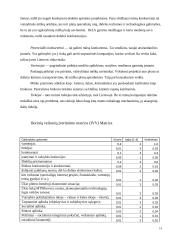 Strateginis valdymas: medienos didmeninė prekyba UAB "Liforė" 14 puslapis