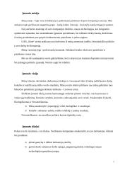 Strateginis valdymas: medienos didmeninė prekyba UAB "Liforė" 5 puslapis