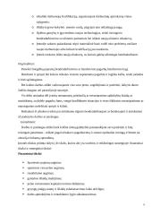 Strateginis valdymas: medienos didmeninė prekyba UAB "Liforė" 6 puslapis