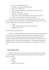 Strateginis valdymas: medienos didmeninė prekyba UAB "Liforė" 9 puslapis