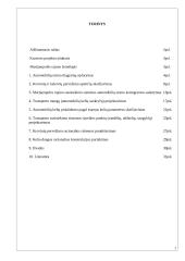 Susisiekimo sistemos kursinis projektas 2 puslapis