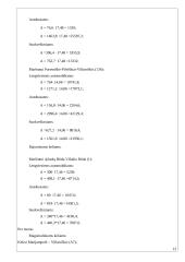 Susisiekimo sistemos kursinis projektas 14 puslapis