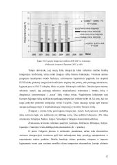 Tarptautinė prekyba: technologijos ir jų vaidmuo 12 puslapis