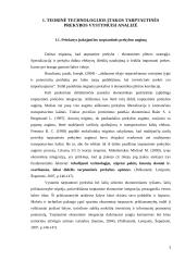 Tarptautinė prekyba: technologijos ir jų vaidmuo 3 puslapis