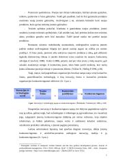 Tarptautinė prekyba: technologijos ir jų vaidmuo 7 puslapis