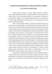 Tarptautinė prekyba: technologijos ir jų vaidmuo 9 puslapis