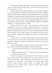 Vartotojo poreikių tenkinimo galimybės 13 puslapis