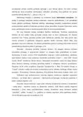 Vartotojo poreikių tenkinimo galimybės 15 puslapis