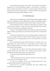 Vartotojo poreikių tenkinimo galimybės 17 puslapis