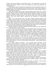 Verslas Lietuvoje ir jo organizavimo galimybės 15 puslapis