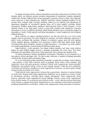 Verslas Lietuvoje ir jo organizavimo galimybės 3 puslapis